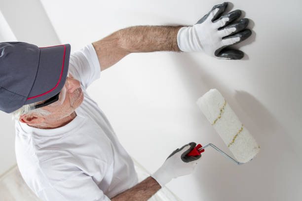 Best Black Mold Removal  in Monticello, IL