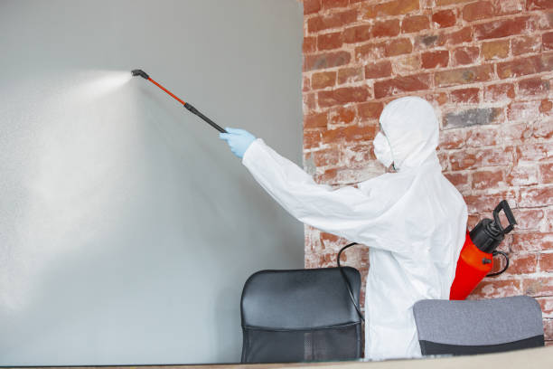Best Commercial Mold Inspection  in Monticello, IL