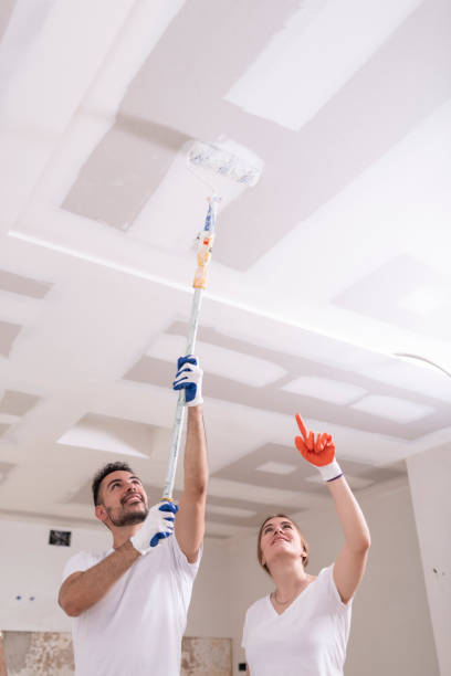 Best Water Damage & Mold Remediation  in Monticello, IL