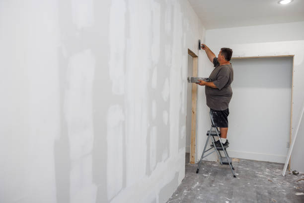 Best Mold Removal for HVAC Installations  in Monticello, IL