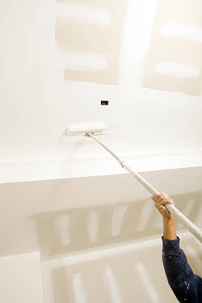 Best Real Estate Mold Inspection  in Monticello, IL