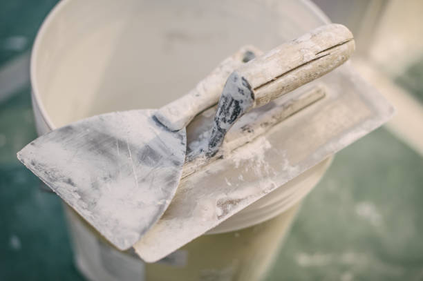 Best Basement Mold Removal  in Monticello, IL