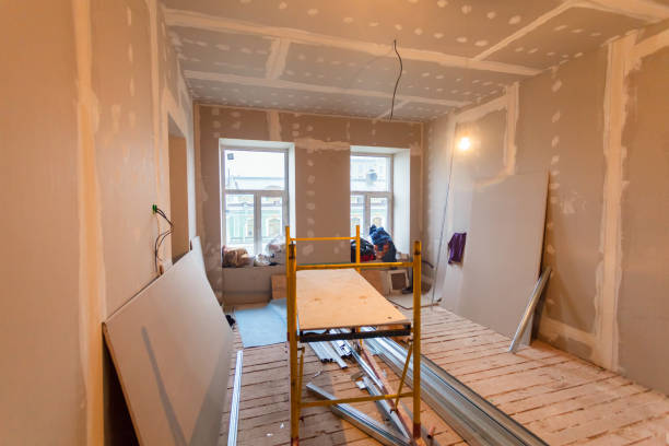 Mold Odor Removal Services in Monticello, IL